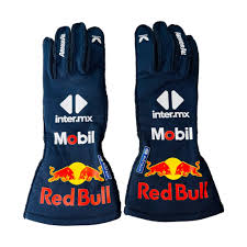 Red Bull F1 Gloves